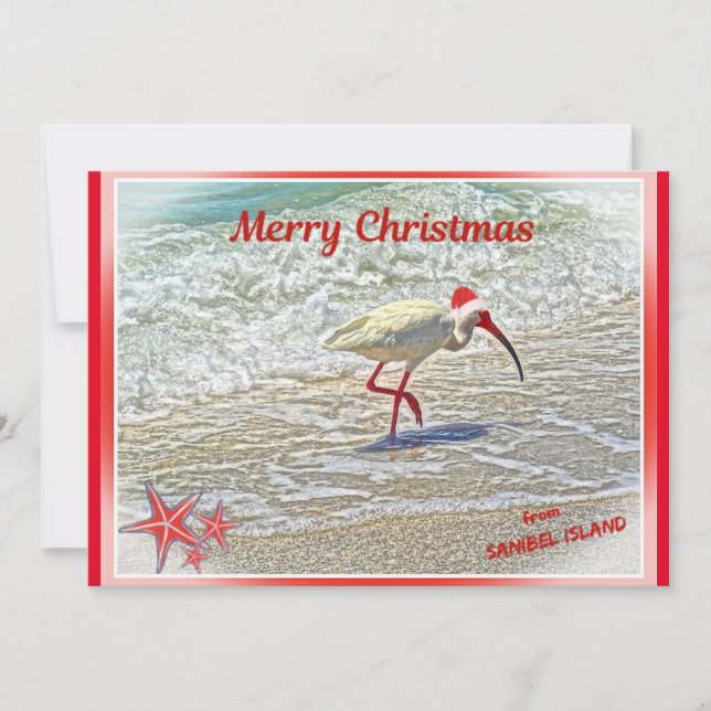 Frohe Weihnachten von Sanibel Island FL White Ibis (Vorderseite)