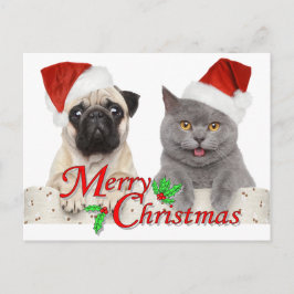 Frohe Weihnachten von Santa Cat und Hund Postkarte