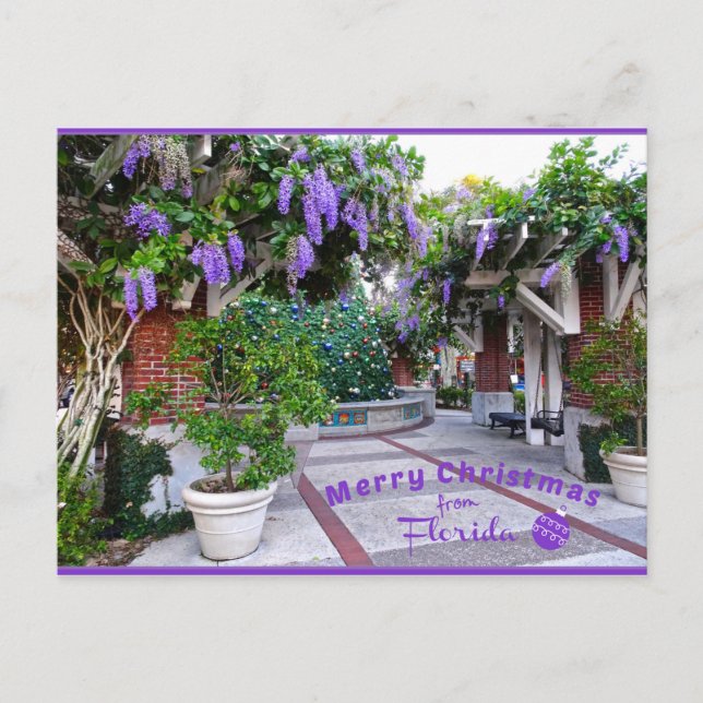 Frohe Weihnachten von Sunny Florida Purple Blumen Postkarte (Vorderseite)