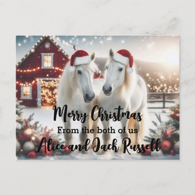 Frohe Weihnachten von uns beiden weißen Pferden Postkarte (Vorderseite)