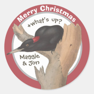 Frohe Weihnachten +was ist los? John Gould Specht Runder Aufkleber