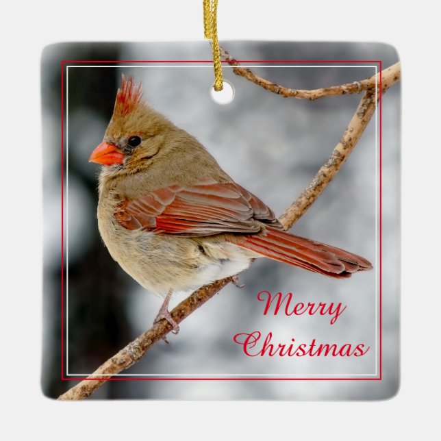 Frohe Weihnachten Weibliche Nord-Kardinal-Ornament Keramikornament (Vorderseite)