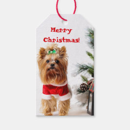 Frohe Weihnachten - Weihnachtslieder mit Weihnacht Geschenkanhänger