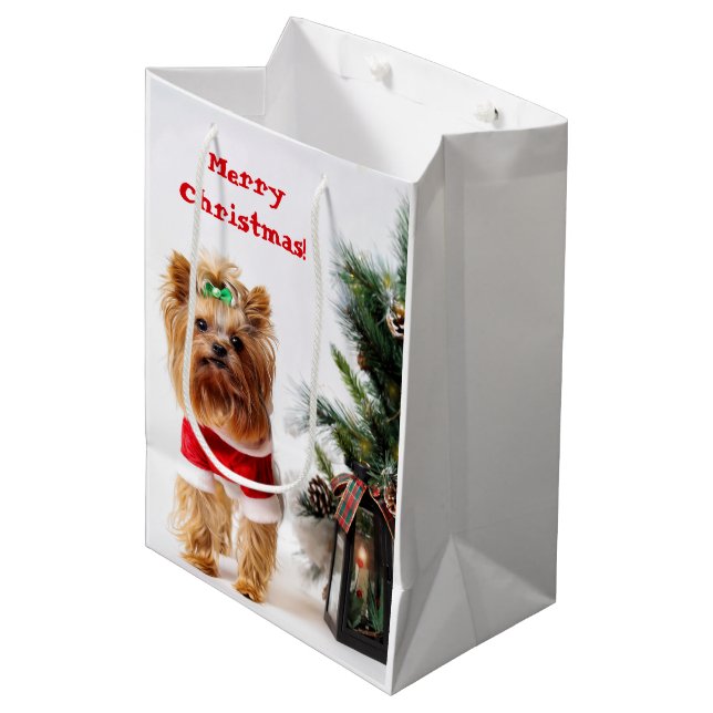 Frohe Weihnachten - Weihnachtslieder mit Weihnacht Mittlere Geschenktüte (Vorderseite Schrägansicht)