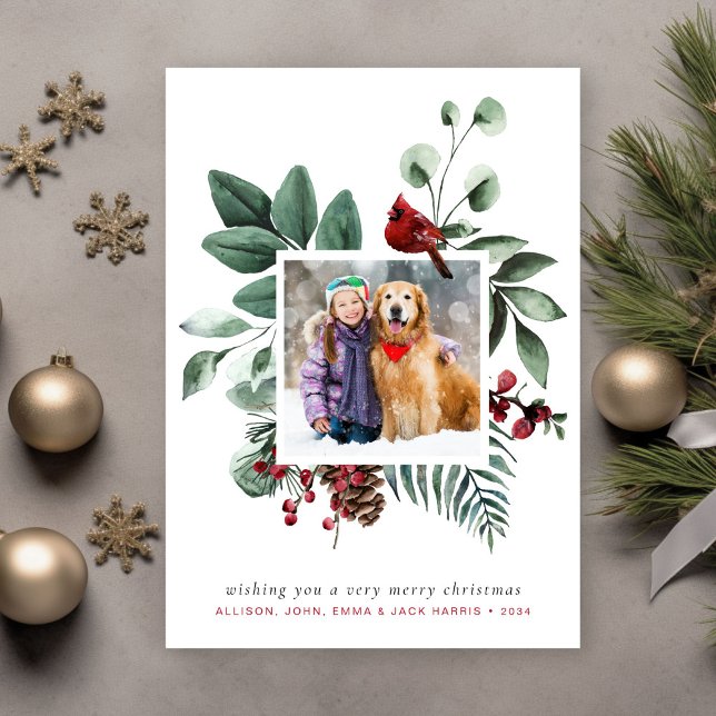 Frohe Weihnachten Winter Roter Kardinal Foto (Share the love and warmth of the season with a personalized photo Christmas card)