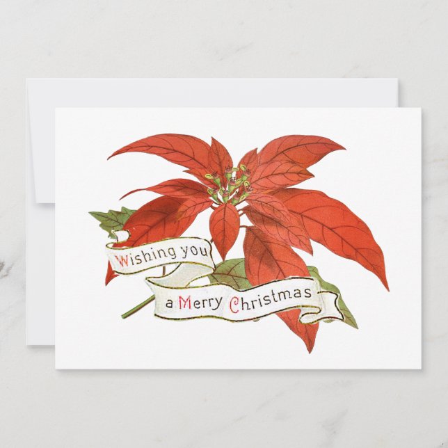 Frohe Weihnachten wünscht Red Poinsettia Blume Vin (Vorderseite)