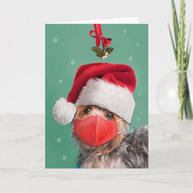 Frohe Weihnachten Yorkshire Terrier in der Gesicht (Vorderseite)