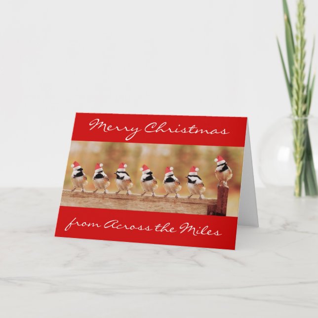 Frohe Weihnachtenchickadees-Karte Feiertagskarte (Vorderseite)