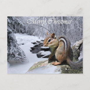 Frohe Weihnachtenchipmunk-Postkarte Feiertagspostkarte