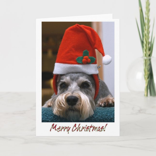 Frohe WeihnachtenSchnauzer Feiertagskarte (Vorderseite)