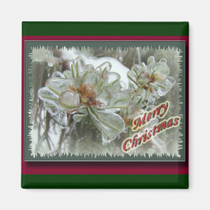 Frohe Weihnachts-Arborvitae Tipps für Eis Magnet