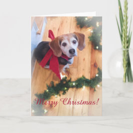 Frohe Weihnachts-Beagle individuell anpassbare Bla Feiertagskarte