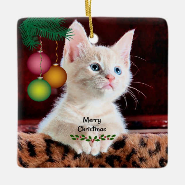 Frohe Weihnachts Cat Ornament (Vorderseite)