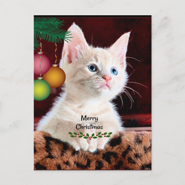 Frohe Weihnachts Cat Ornament Postkarte (Vorderseite)