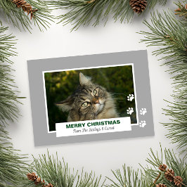 Frohe Weihnachts Cat White Paw Prints Foto Feiertagskarte