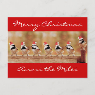 Frohe Weihnachts-Chickadees Postcard Feiertagspostkarte