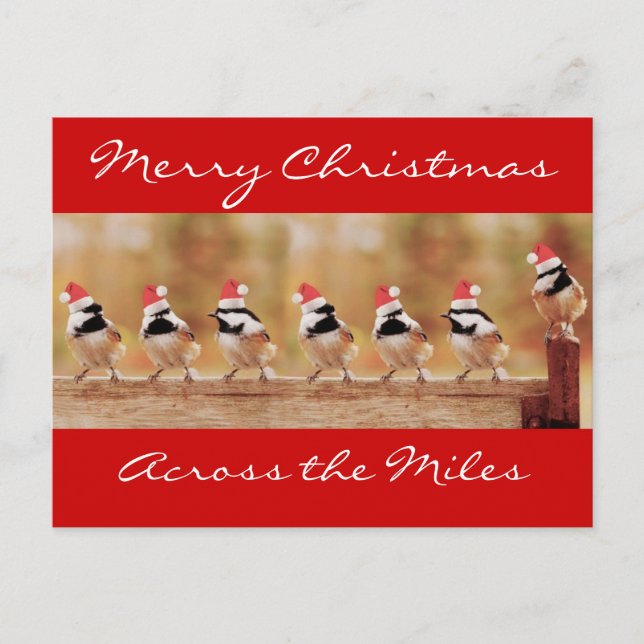 Frohe Weihnachts-Chickadees Postcard Feiertagspostkarte (Vorderseite)