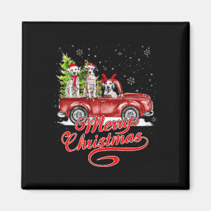 Frohe Weihnachts-Dalmatiner Hund Lover Santa Reind Magnet