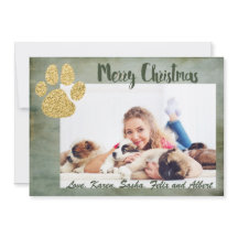 Frohe Weihnachts Gold Hund Paw
