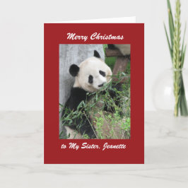 Frohe Weihnachts Grußkarte Panda, rote Grenze Feiertagskarte