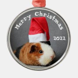 Frohe Weihnachts-Guinea Schweinchen in einer Weihn Ornament Aus Metall