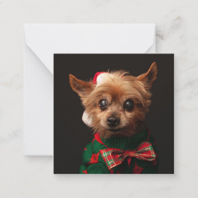 Frohe Weihnachts Haustier Foto einfach süß Mitteilungskarte (Vorderseite)