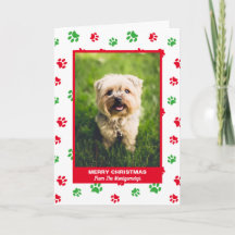 Frohe Weihnachts Hund Red Green Paw Prints Pet Fot