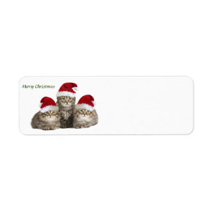 Frohe Weihnachts-Kittens-Kennzeichnung