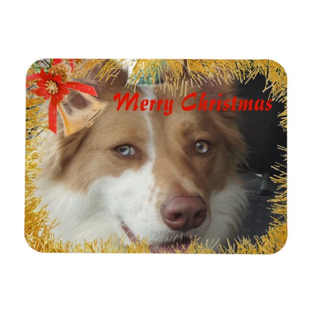 Frohe Weihnachts Pet Foto Magnet (Horizontal)