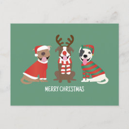 Frohe Weihnachts Pit Bull Hunde Feiertagspostkarte