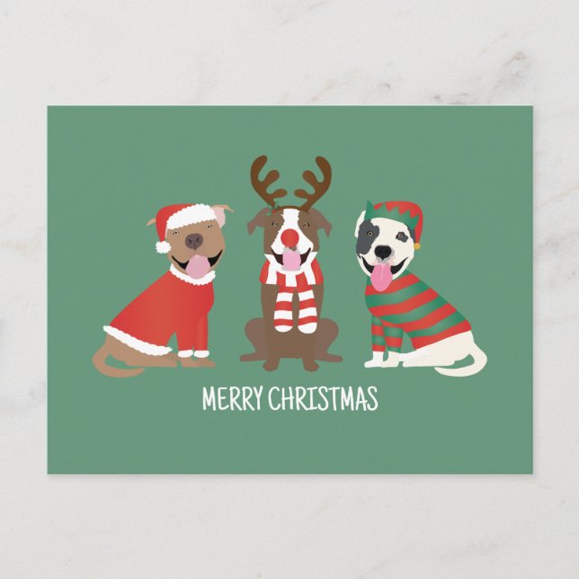 Frohe Weihnachts Pit Bull Hunde Feiertagspostkarte (Vorderseite)