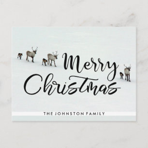 Frohe Weihnachts Reindeer Feiertagspostkarte