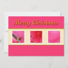 Frohe Weihnachts-Rosa Blume Grußkarte Feiertagskarte