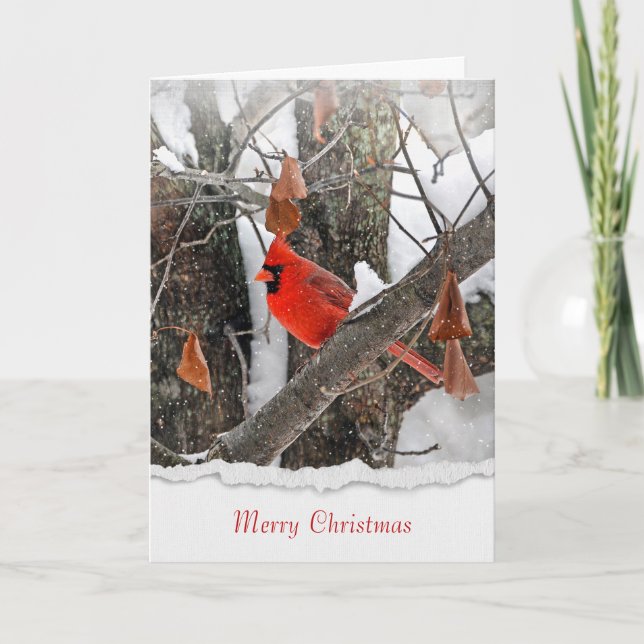Frohe Weihnachts-Rot-Kardinal auf Zweig Karte (Vorderseite)