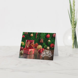 Frohe Weihnachts Rot und Gold Ornamente Karte