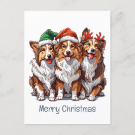 Frohe Weihnachts Shetland Sheepdogs Postkarte