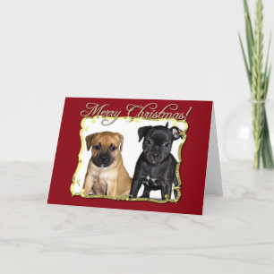 Frohe Weihnachts-Weihnachtskarte für Bull Terriers Feiertagskarte