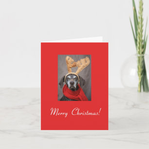 Frohe Weihnachtsdeutsch Kurzhaarzeiger Feiertagskarte