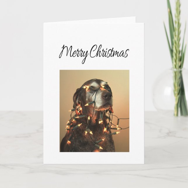 Frohe Weihnachtsdeutsch Kurzhaarzeiger Feiertagskarte (Vorderseite)