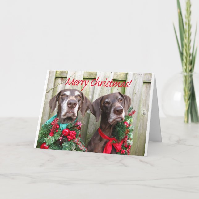 Frohe Weihnachtsdeutsch Kurzhaarzeiger Feiertagskarte (Vorderseite)