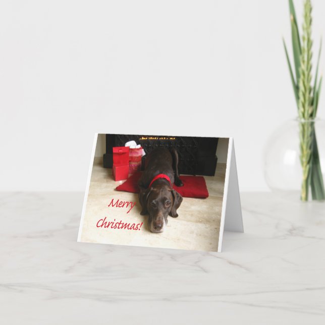 Frohe Weihnachtsdeutsch Kurzhaarzeiger Feiertagskarte (Vorderseite)