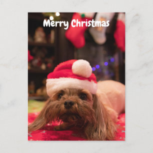 Frohe Weihnachtsfrau Feiertagspostkarte