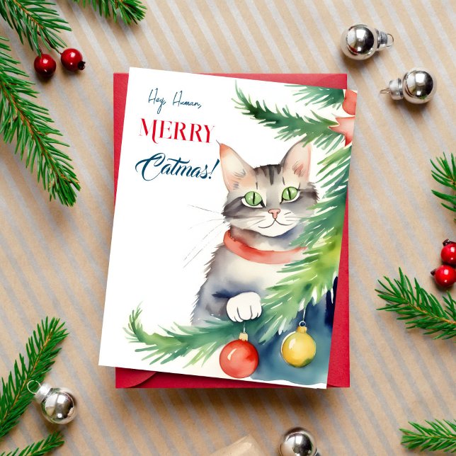 Frohe Weihnachtsgrüße für Katzenmenschen Postkarte (Merry catmas Christmas greeting postcard for cat people cute green eyed cat peeping by  tree)