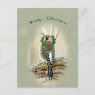 Frohe Weihnachtsgrüße - Northern Flicker Feiertagspostkarte