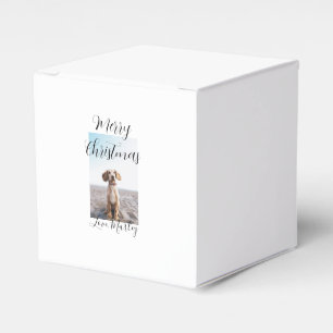 Frohe Weihnachtshunde Katze Foto Weihnachtsgeschen Geschenkschachtel