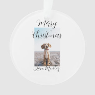 Frohe Weihnachtshunde Katze Foto Weihnachtsgeschen Ornament
