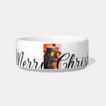 Frohe Weihnachtskatze Haustier Liebe Foto