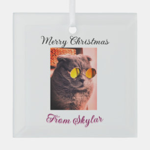Frohe Weihnachtskatze Haustier Liebe Foto Ornament Aus Glas