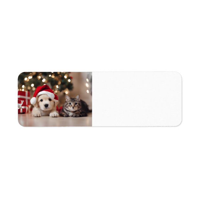 Frohe Weihnachtskatze & Hund (Vorne)