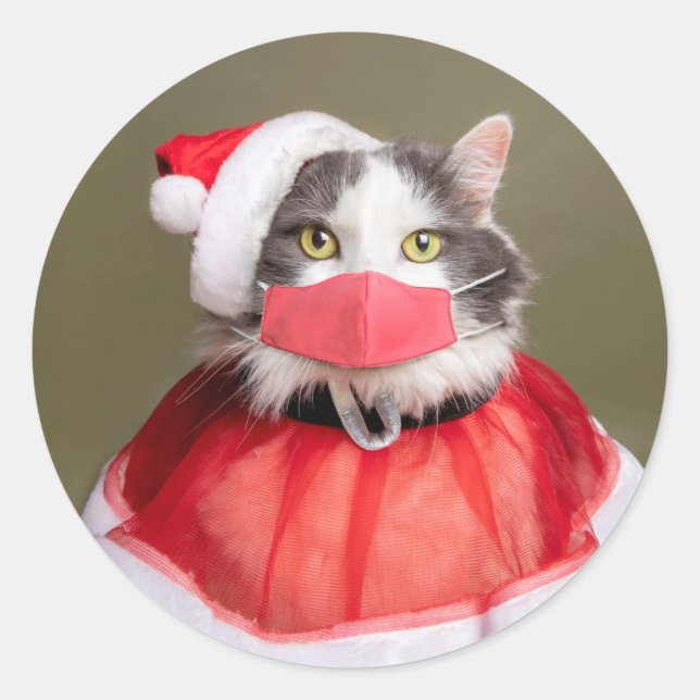 Frohe Weihnachtskatze in Santa Outfit und Gesichts Runder Aufkleber (Vorderseite)